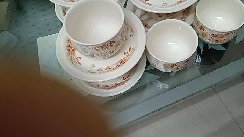 47 pieces Dinner set 5