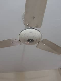 2 Ceiling Fans