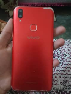 vivo