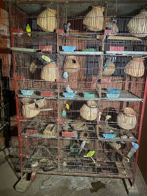 cage for sale 0