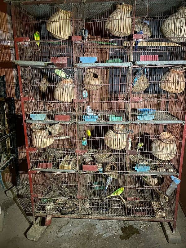 cage for sale 1