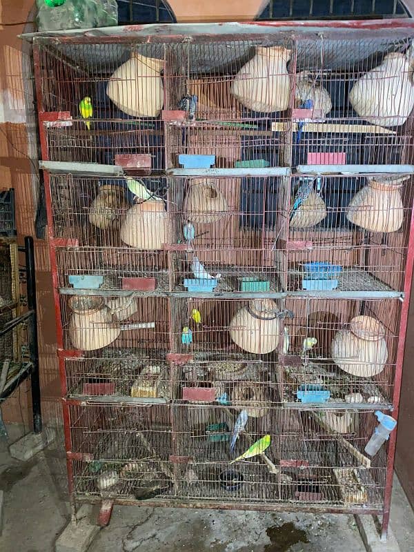 cage for sale 3