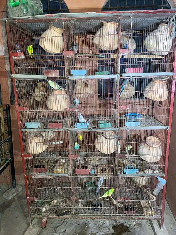 cage for sale 4