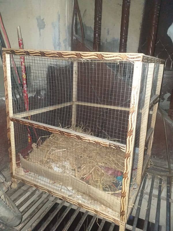 Hen Cage 5 Hen easy a jaty hia. 0