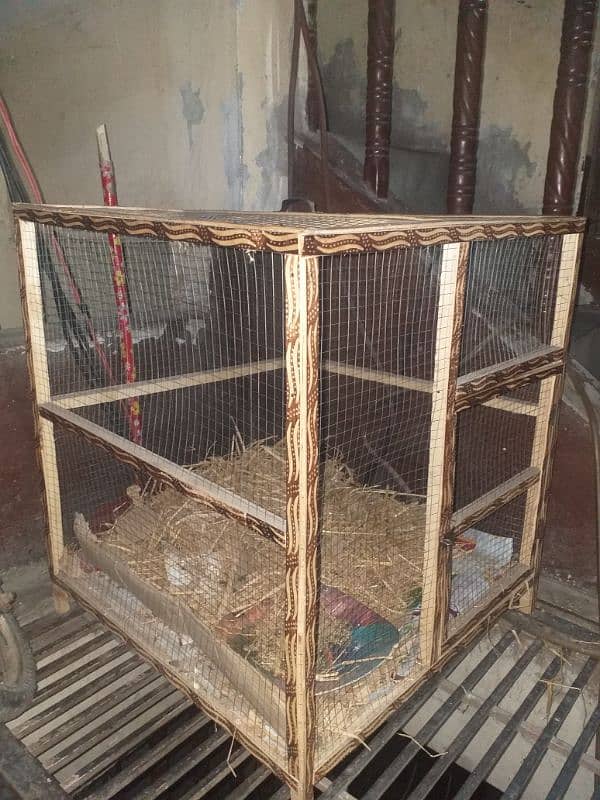 Hen Cage 5 Hen easy a jaty hia. 3