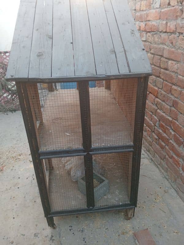 other birds cage 4