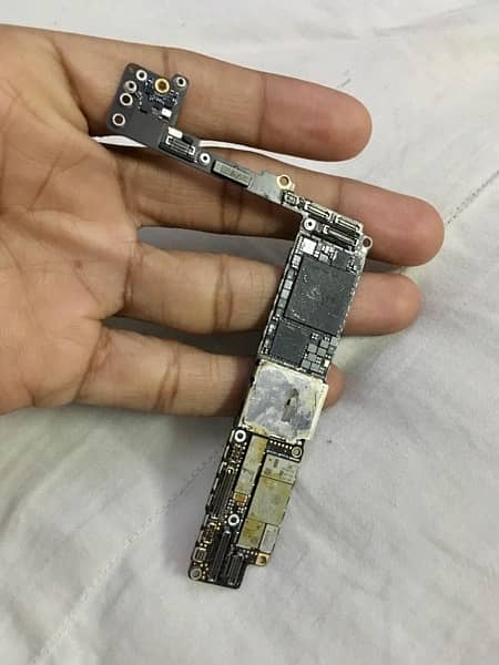 iPhone 8 Plus board 1