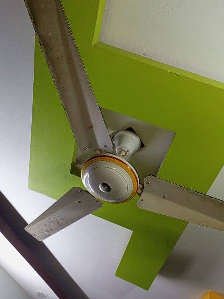 CEILING FAN 1