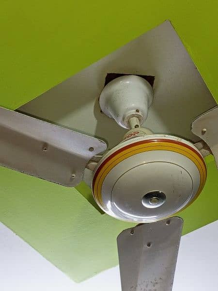 CEILING FAN 2