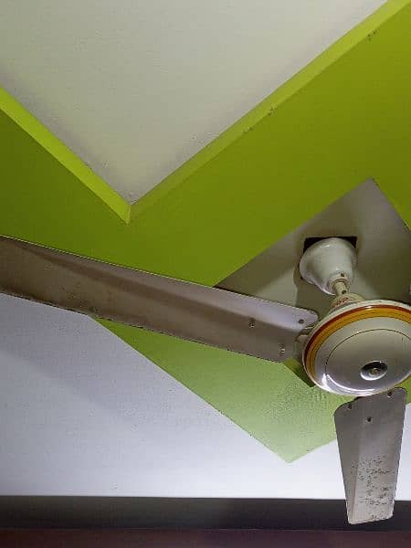 CEILING FAN 5