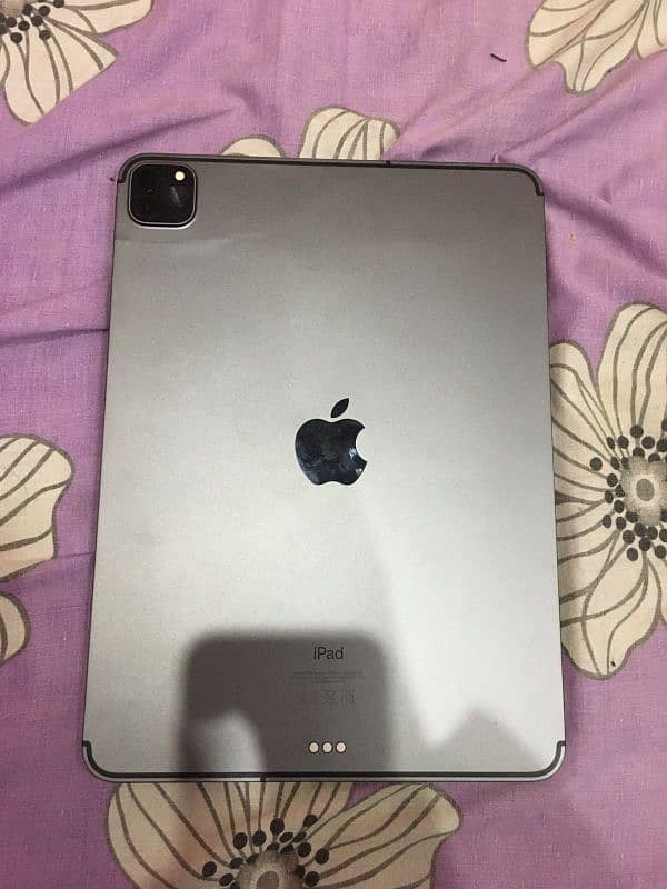 iPad Pro 11 inch 2nd generation cellular 0