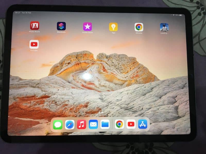 iPad Pro 11 inch 2nd generation cellular 4