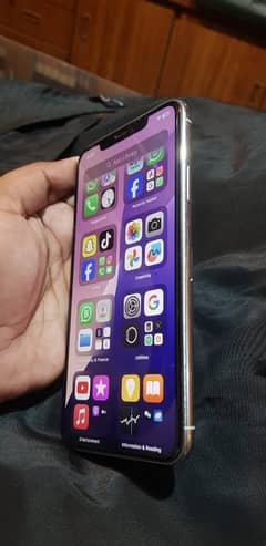 iPhone 11 pro max (LLA model)