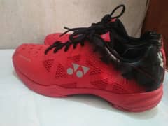 Badminton shoes ( 43 size )