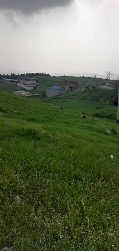 Plot for Sale in Abbottabad Township Sector C 0