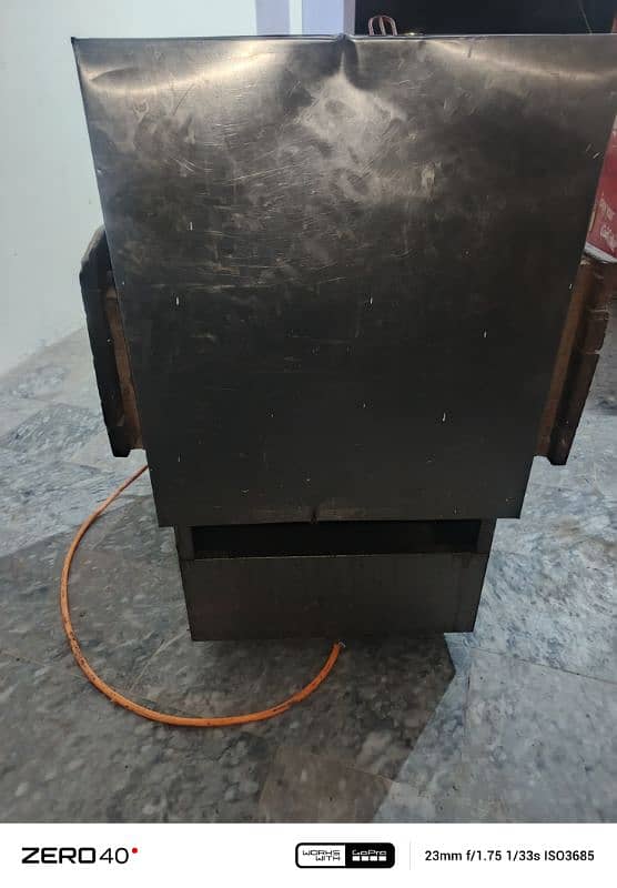 Chips Zinger Fryer 2