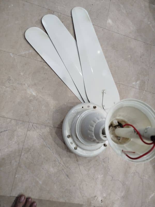 ceiling fan new condition 3