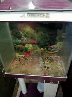 aquarium 2 feet /2 /1 condition 10/8