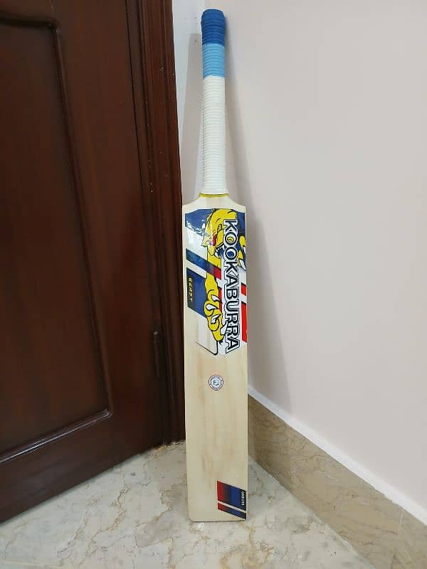 hard ball bat 10