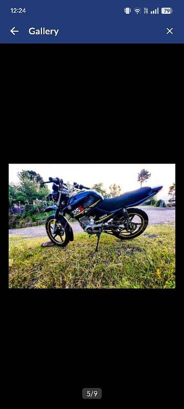 ybr 125 g 7