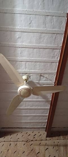 ceiling fan