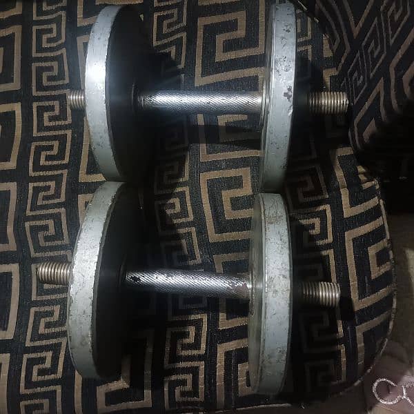 bench press dumbbells 10 10= 20 kg 3