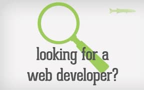 I’m looking for Web Developer (Frontend, WordPress)