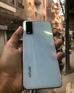 vivo