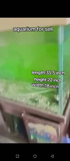 big size aquarium
