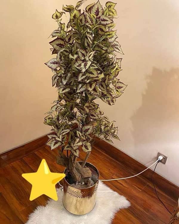 Golden/Silver Stainless Steel Planter Pots All Sizes Manifucture 6