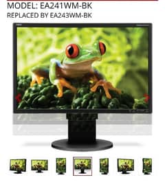 HP 24 Inch" NEC MultiSync EA241WM, a widescreen LCD desktop monitor.