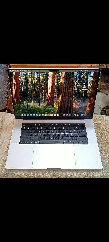MacBook M1 Max 2021 32GB 1TB 16" Display Silver Color MK1H3LL/A 9