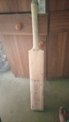 hard ball cricket kit for sale