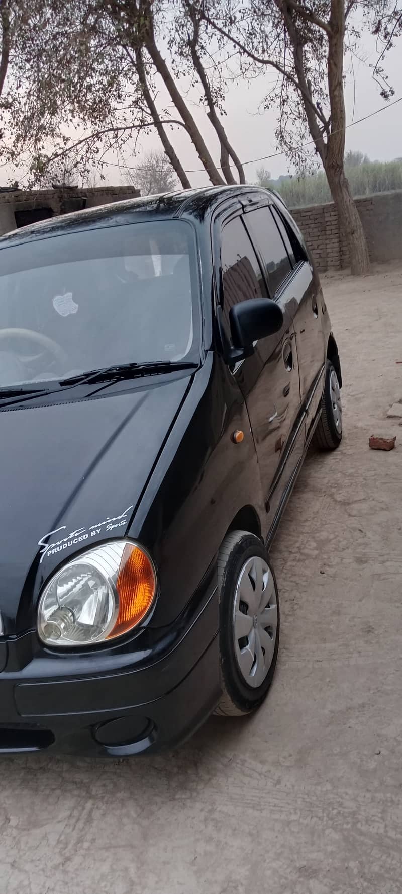 Hyundai Santro 2007 4