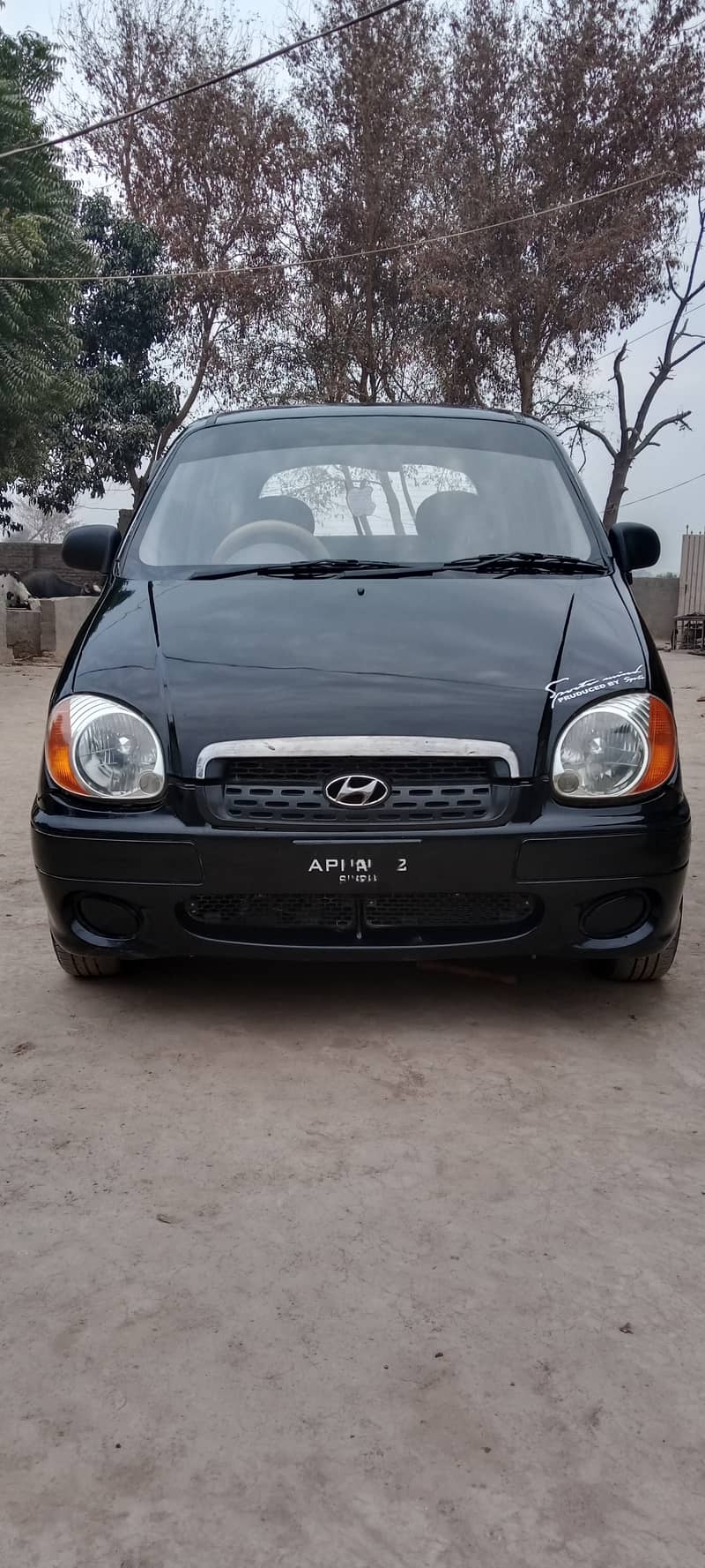 Hyundai Santro 2007 11