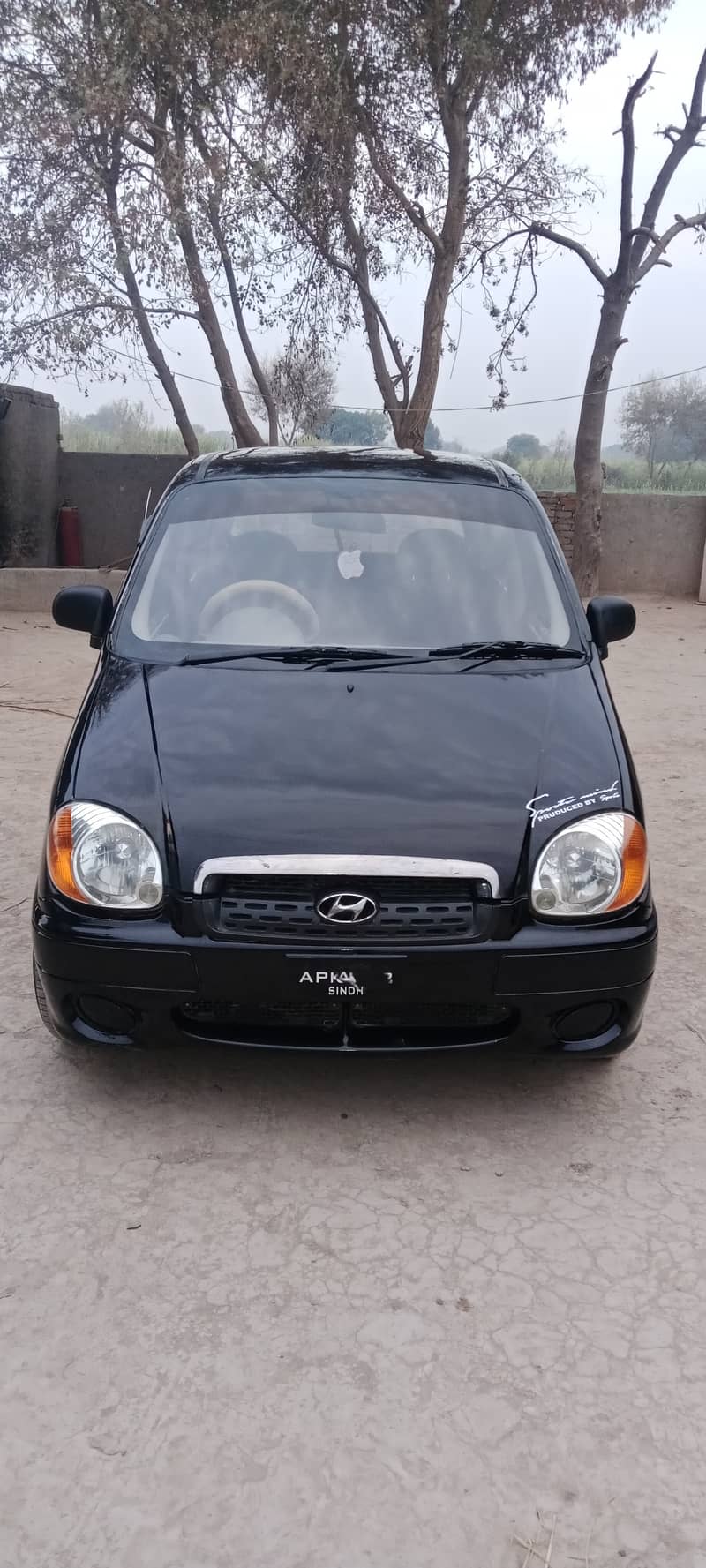 Hyundai Santro 2007 12