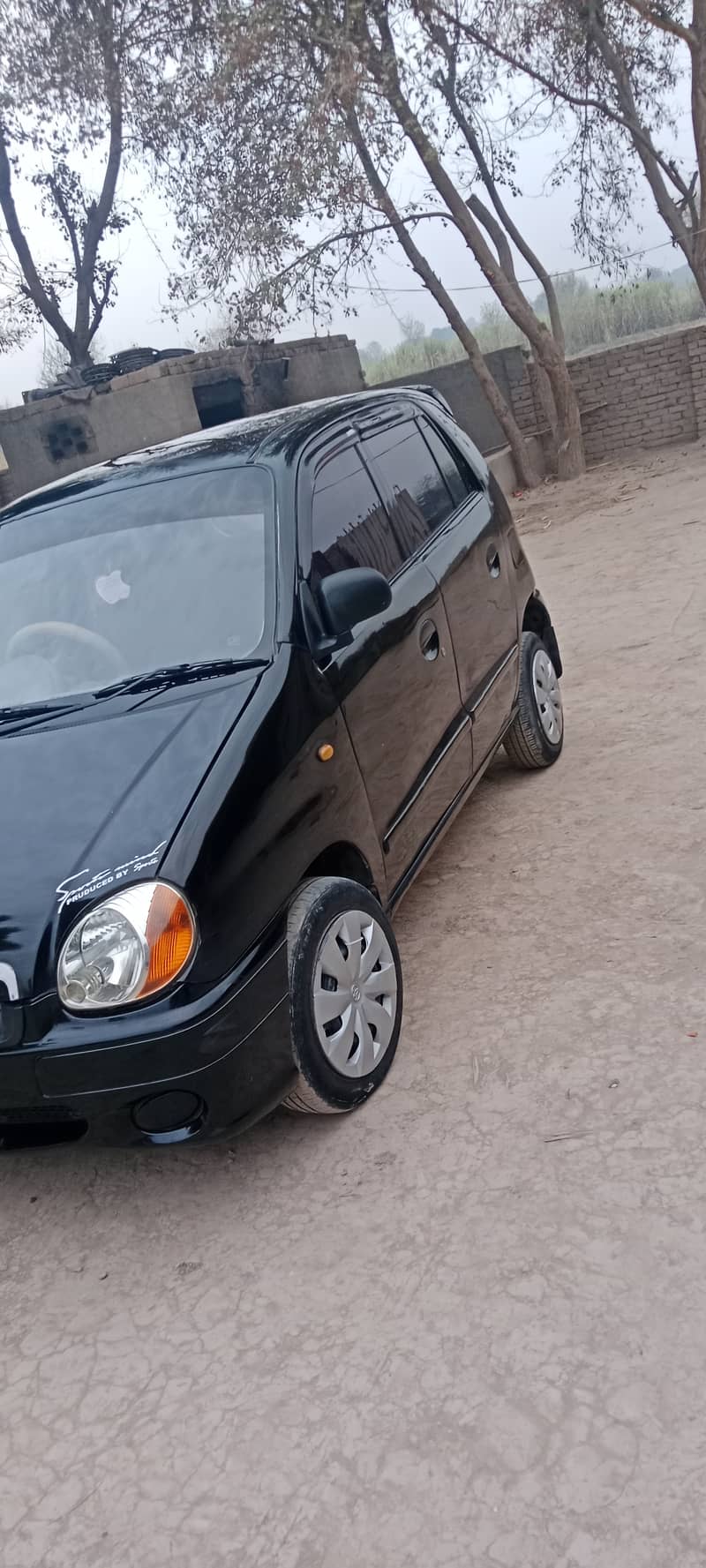 Hyundai Santro 2007 13