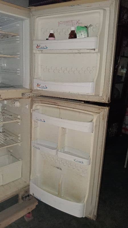 Pel refrigerator 3