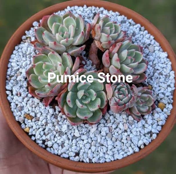 pumice available 0