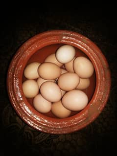 aseel eggs اصیل میاںوالی انڈے