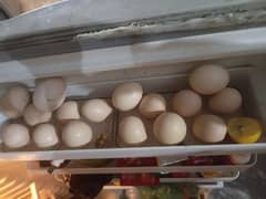 Eggs for sale