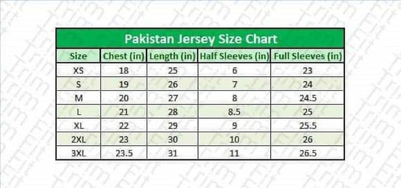 *Official Pakistan Champions Trophy Shirt 3