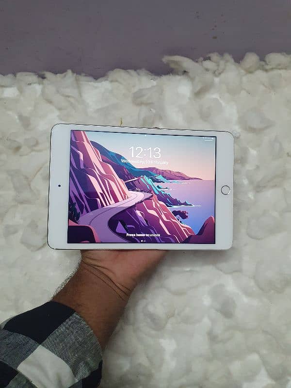 Ipad mini 4 0