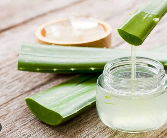 100% Natural Aloe Vera  (Home Plant Made) 0