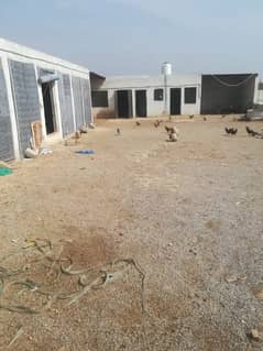 3 Kanal Farm House Available For Sale in Gali Jahangir Fateh Jang.