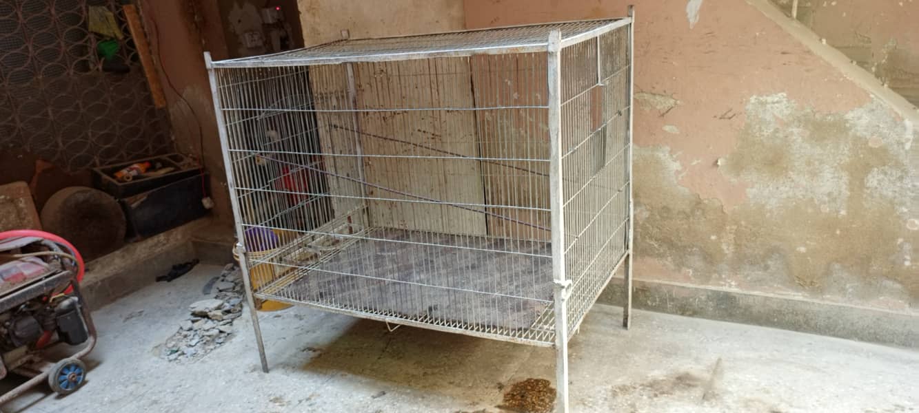 Pinjra Cage 1