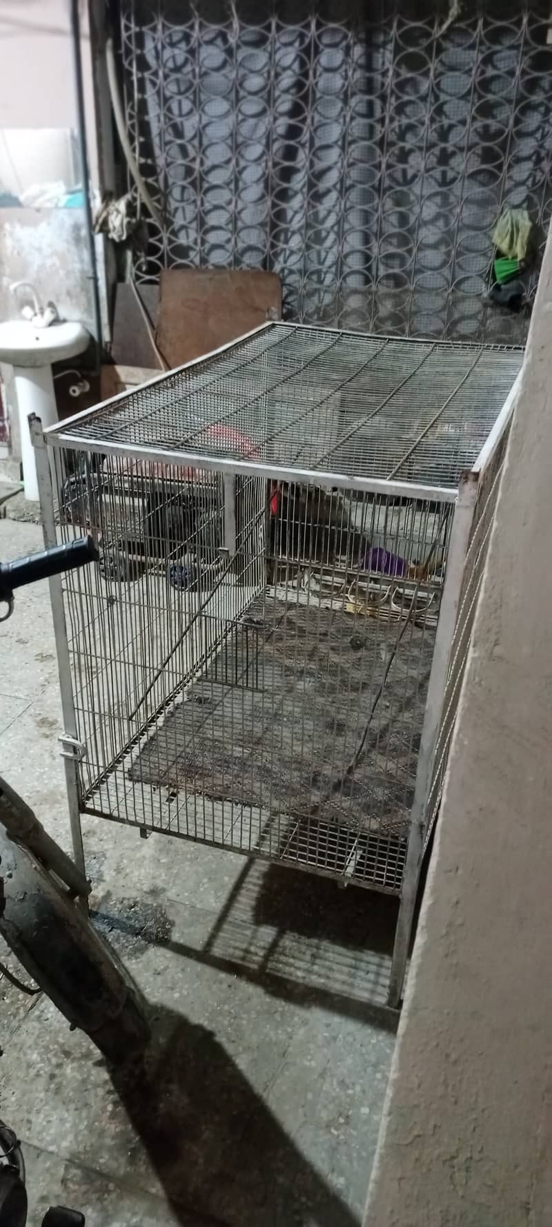 Pinjra Cage 2