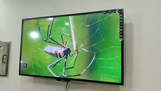 43 inch LED TV  made in malayisa