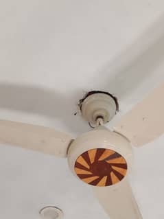 ZK AC-DC Fan