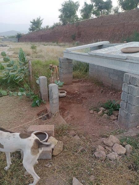 Farm Worker Security Guard Gardner 4